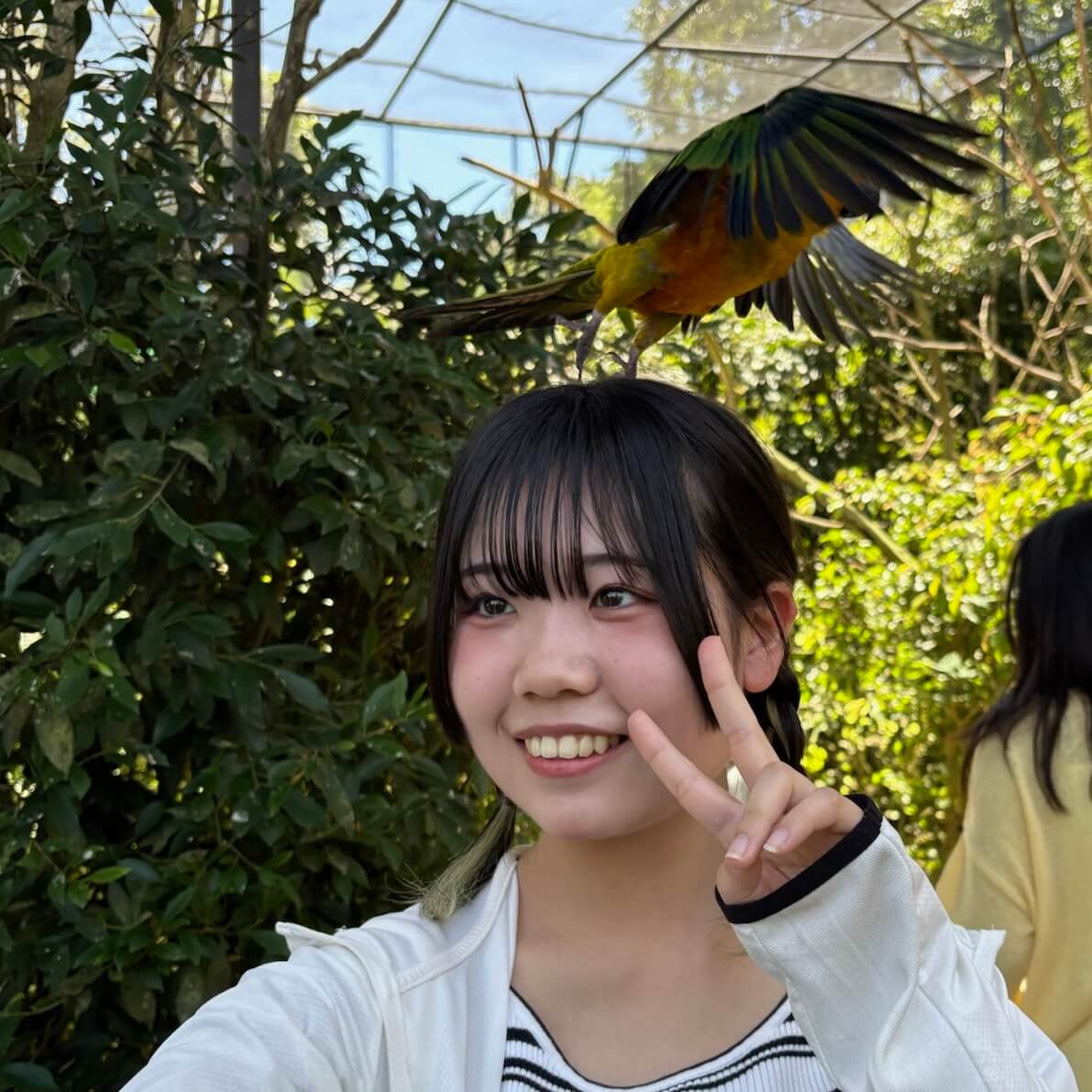 るめ